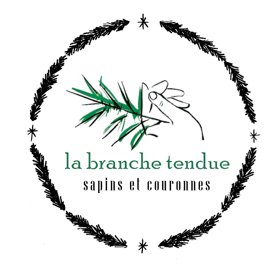 La Branche tendue